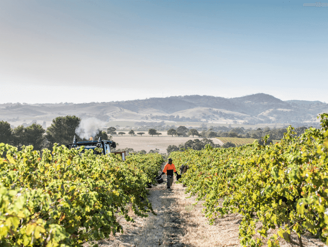Barossa small.png